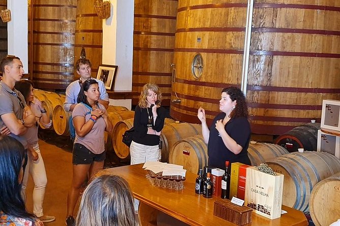 Complete Douro Valley Wine Tour with Lunch, Wine Tastings and River Cruise - Pinhão and the 50-minute Rabelo cruise