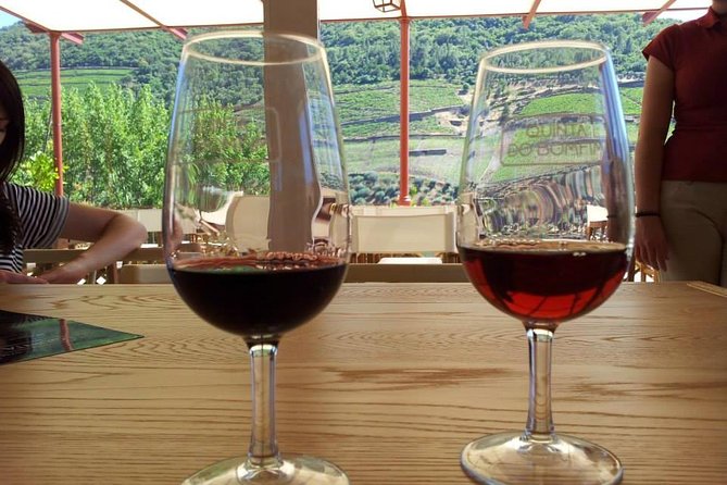 Complete Douro Valley Wine Tour with Lunch, Wine Tastings and River Cruise - The guide can shape the whole day