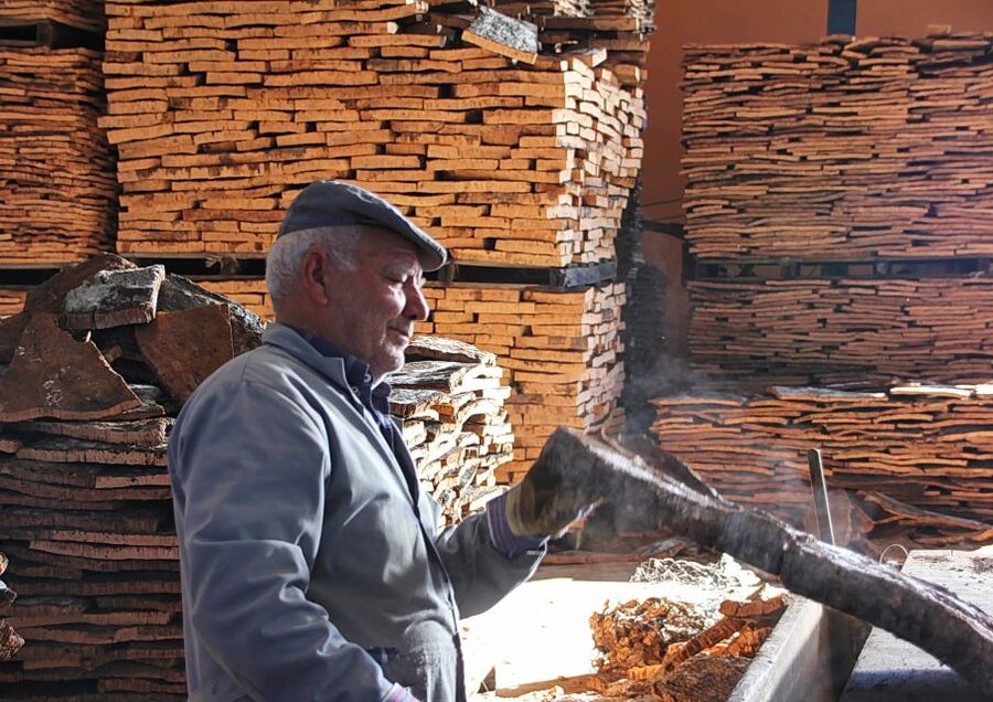 Cork Factory Tour - Key points before you go