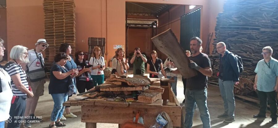 Cork Factory Tour - Why a cork factory belongs on an Algarve itinerary