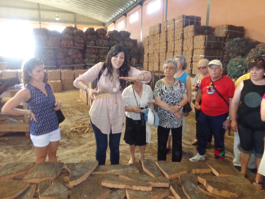Cork Factory Tour - Timing, cancellation, and useful planning tips