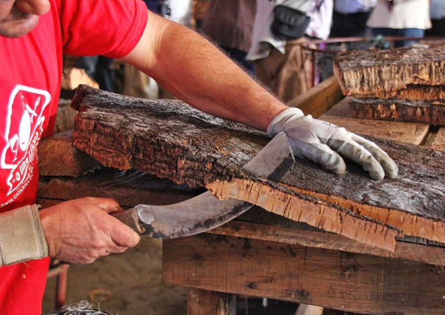 Cork Factory Tour - Arriving at Eco-Cork Factory in Mesquita Baixa