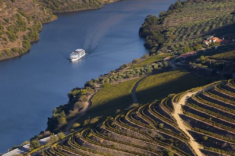Day Cruise from Porto to Pinhão with Breakfast and Lunch - Key points to know before booking