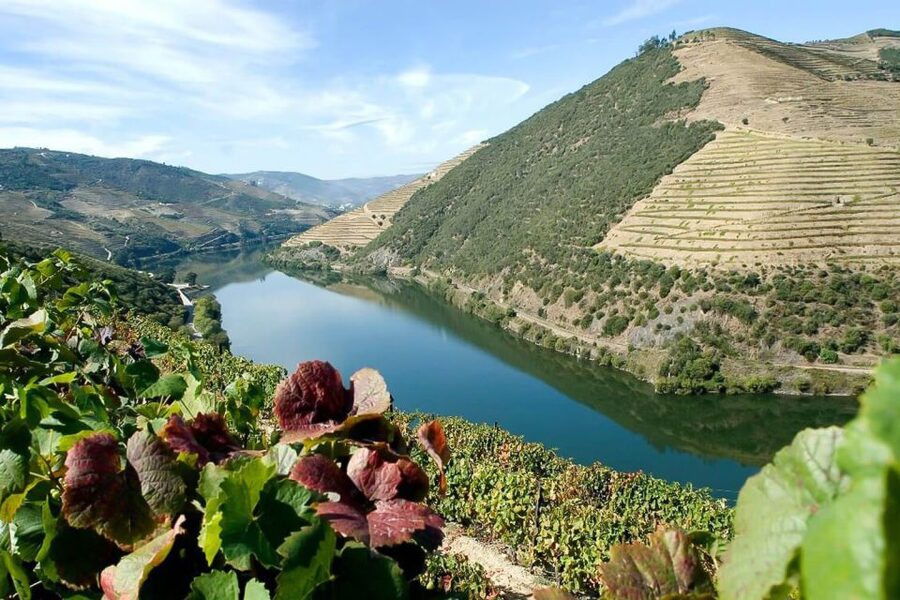 Day Cruise from Porto to Pinhão with Breakfast and Lunch - From Porto’s city edge to vineyard country