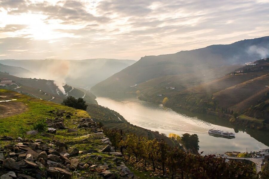 Day Cruise from Porto to Pinhão with Breakfast and Lunch - Returning to Porto by bus