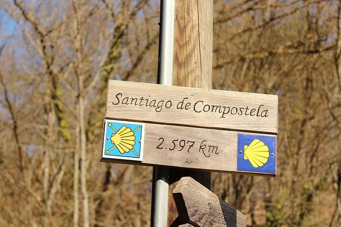 Day Trip from Porto to Santiago de Compostela and Valença - Lunch in Santiago’s old town