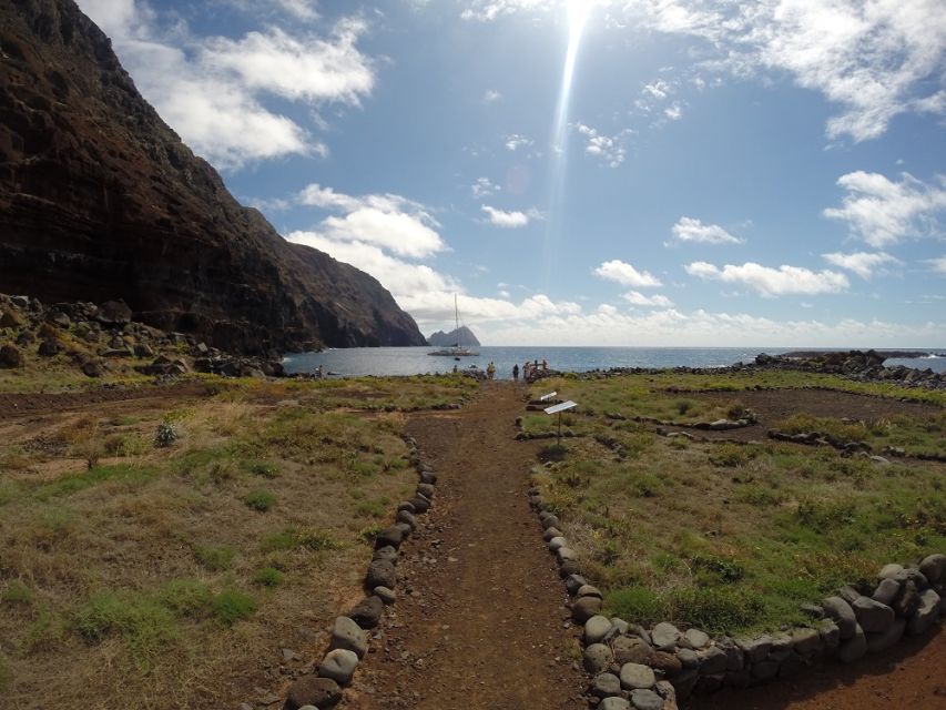 Desertas Islands Full-Day Catamaran Trip from Funchal - Monk seal conservation without a guaranteed sighting