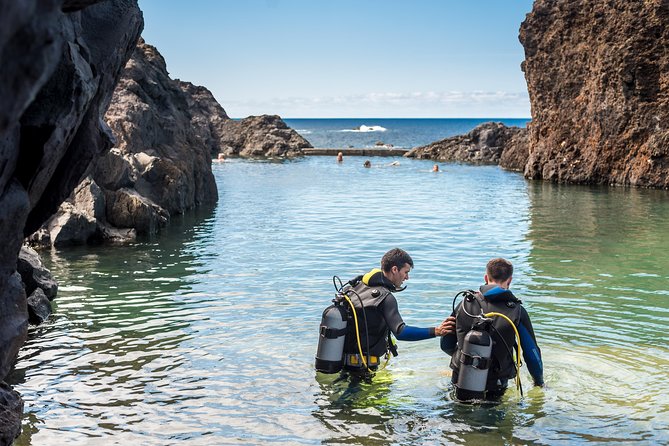 Diving in the Madeira Aquarium - What makes this Madeira activity different