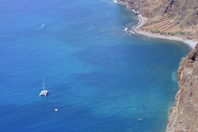 Dolphin and Whale Watching Catamaran Cruise from Funchal - Is $48.27 good value?