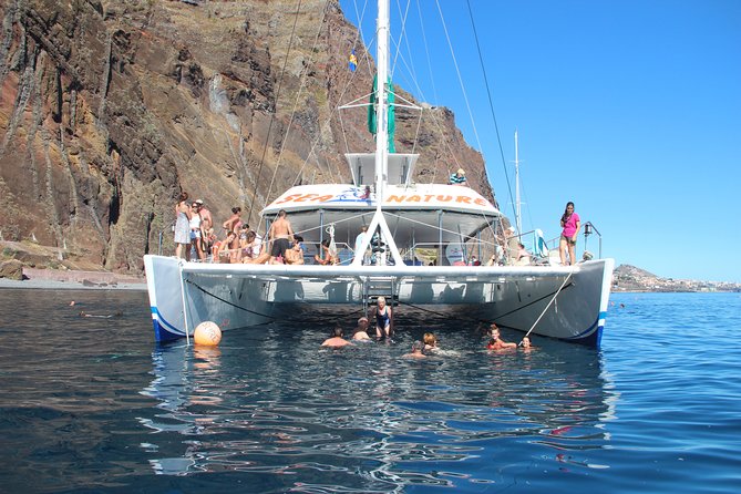 Dolphin and Whale Watching Catamaran Cruise from Funchal - The repeat-trip promise and cancellation rules