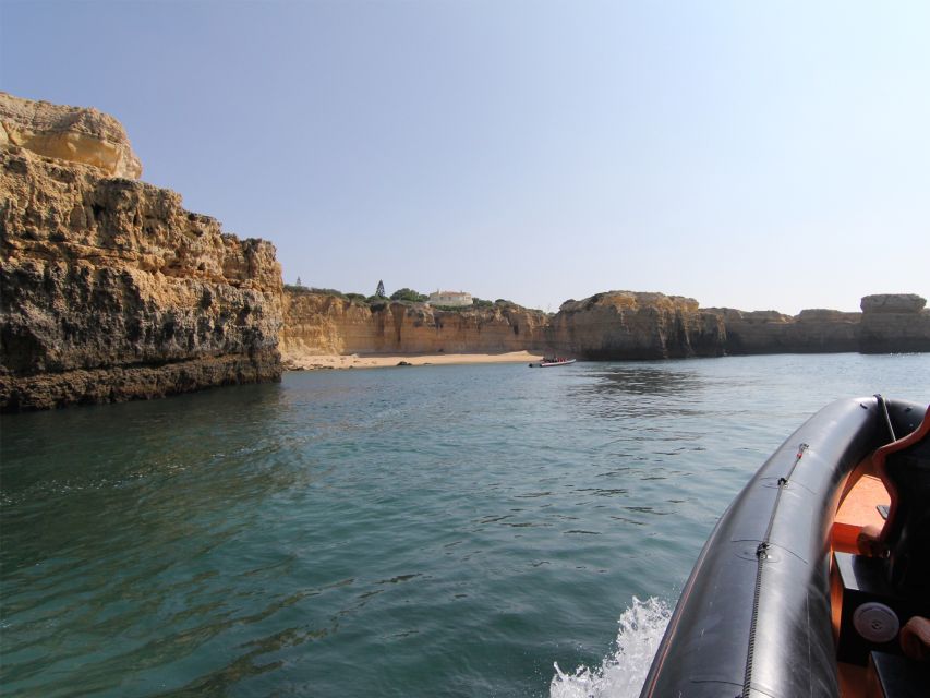 Dolphin Safari and Cave Tour in Vilamoura - Key Points at a Glance