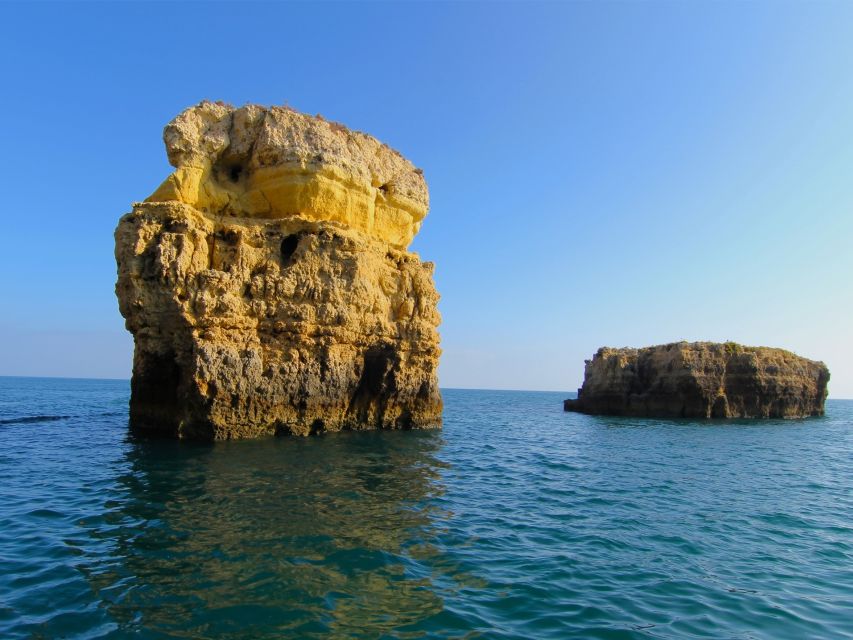 Dolphin Safari and Cave Tour in Vilamoura - Who Will Enjoy This Most?