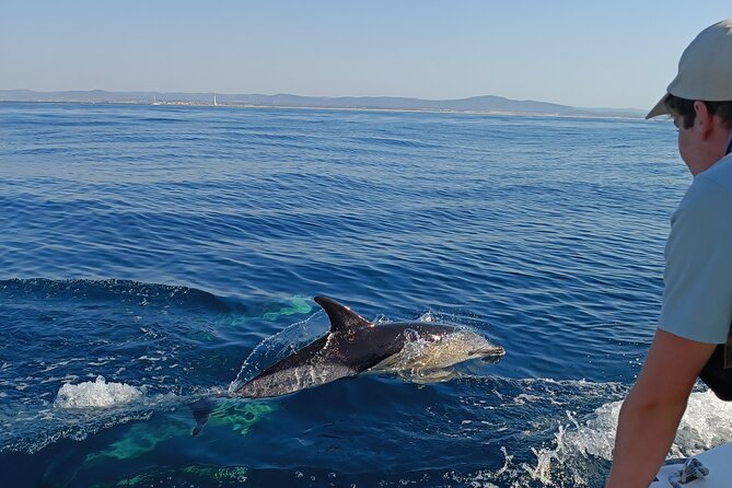 Dolphin Watching + 2 Islands Tour - From Faro - Key points at a glance