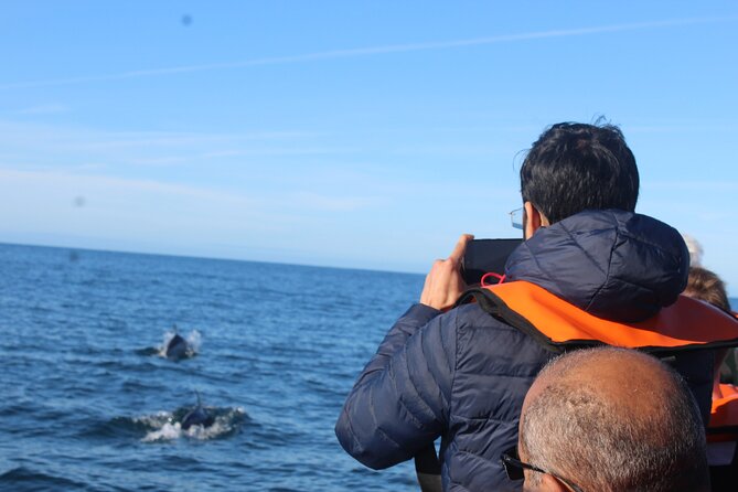 Dolphin Watching + 2 Islands Tour - From Faro - Crossing the Ria Formosa channels