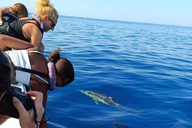 Dolphin Watching + 2 Islands Tour - From Faro - Ilha do Farol, a lived-in island stop