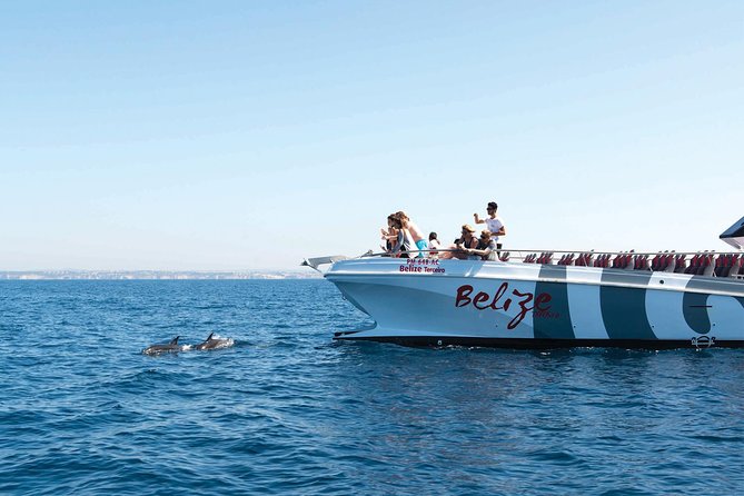 Dolphin Watching and Cave Boat Cruise from Albufeira - The best parts of this cruise