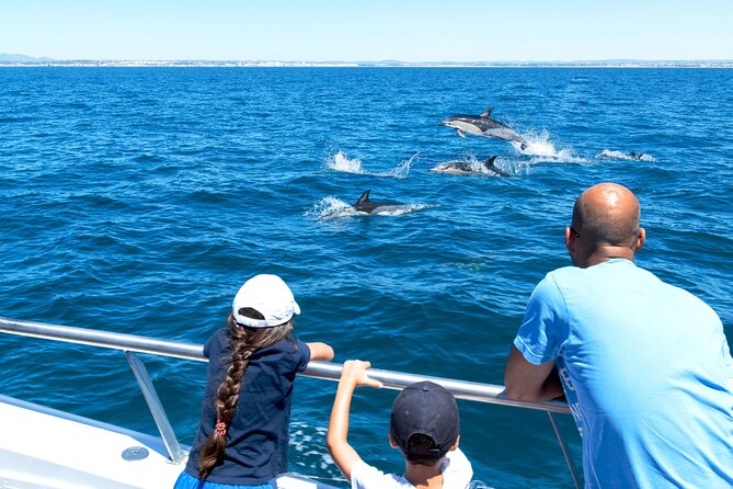 Dolphin Watching and Cave Boat Cruise from Albufeira - Leaving Alameda da Orada in Albufeira