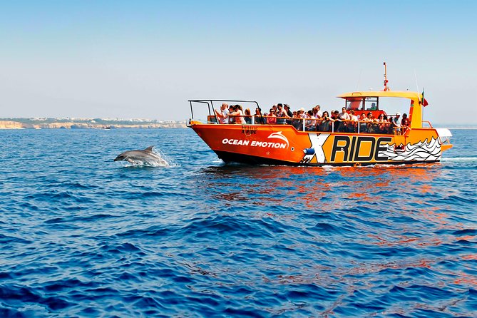Dolphin Watching and Caves Cruise - Key points to know before booking