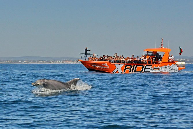 Dolphin Watching and Caves Cruise - From Albufeira Marina to the Algarve coast