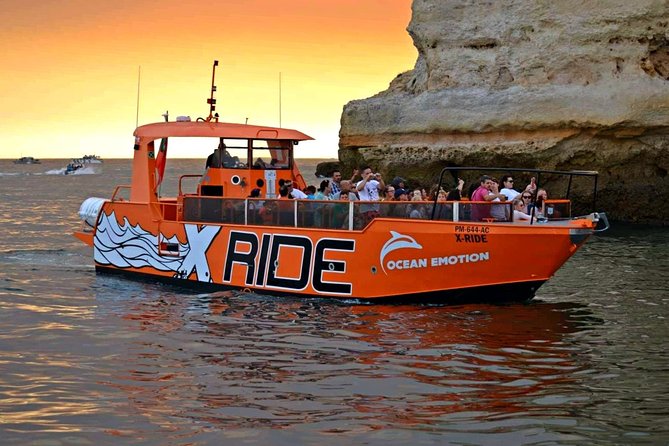 Dolphin Watching and Caves Cruise - Searching for dolphins in open water