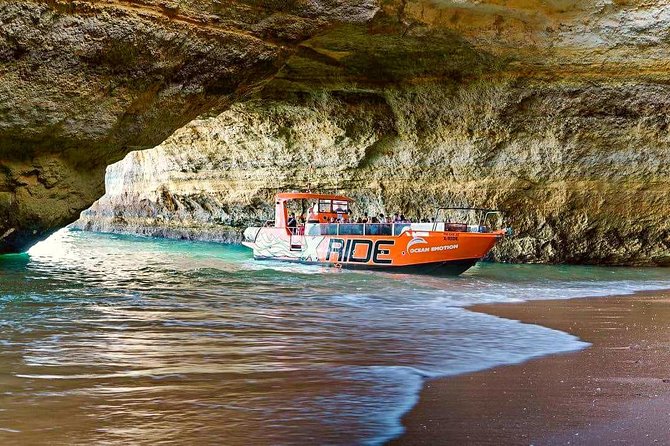 Dolphin Watching and Caves Cruise - Who should book this Albufeira cruise?