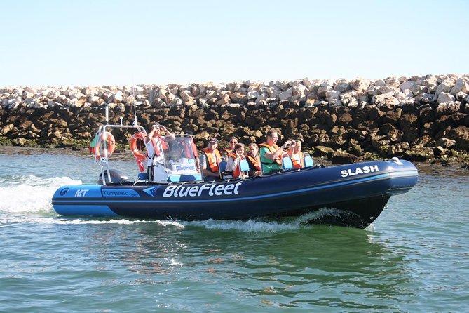 Dolphin Watching from Lagos with Marine Biologists - Who will enjoy this Lagos boat trip?