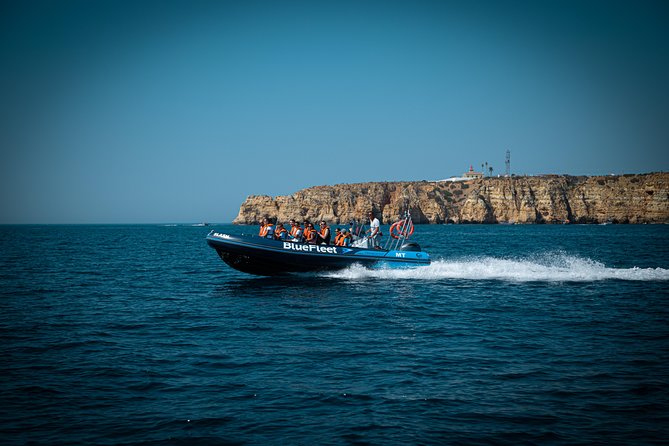 Dolphin Watching from Lagos with Marine Biologists - Practical planning for the best day