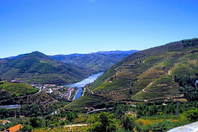 Douro Valley and Régua Panoramic Cruise with Lunch from Porto - Six hours on the Douro River