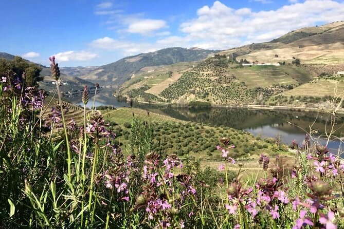 Douro Valley and Régua Panoramic Cruise with Lunch from Porto - Crestuma-Lever and the return to Porto