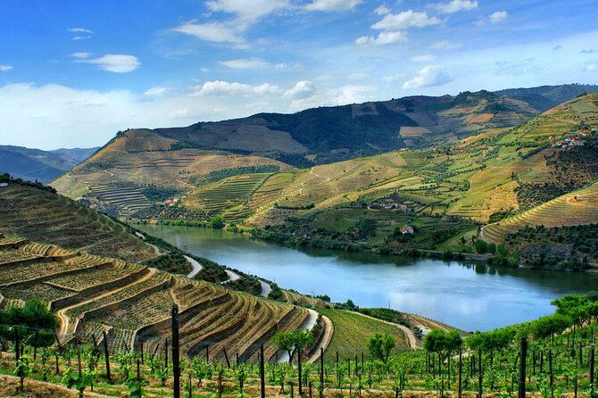 Douro Valley and Régua Panoramic Cruise with Lunch from Porto - Lunch, drinks, and the onboard atmosphere