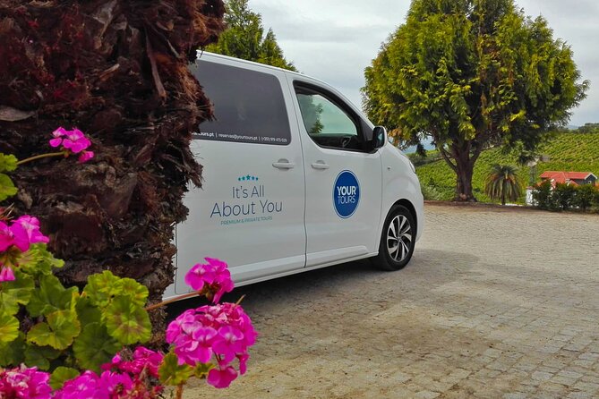 Douro Valley Best-Of Private Tour – Fully Customizable Experience - The N222 and the first look at the valley