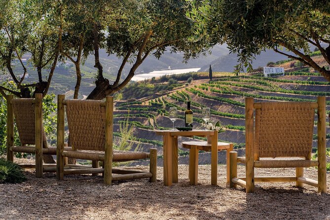 Douro Valley Best-Of Private Tour – Fully Customizable Experience - The optional Douro River boat ride