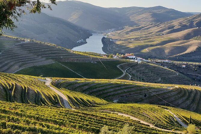 Douro Valley Best-Of Private Tour – Fully Customizable Experience - The guides are a major part of the value