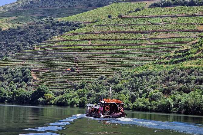Douro Valley-Expert Guide-Boat-Lunch-Tastings-Offer wine bottle - Key details that shape the day