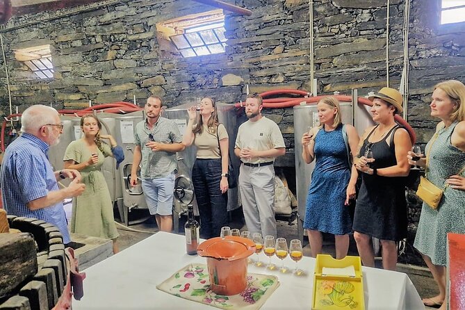 Douro Valley-Expert Guide-Boat-Lunch-Tastings-Offer wine bottle - The São Cristóvão viewpoint gives you the big picture