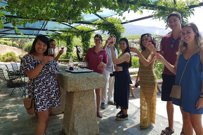 Douro Valley for Wine Lovers with Visit to 4 Wineries and Lunch - Key points at a glance