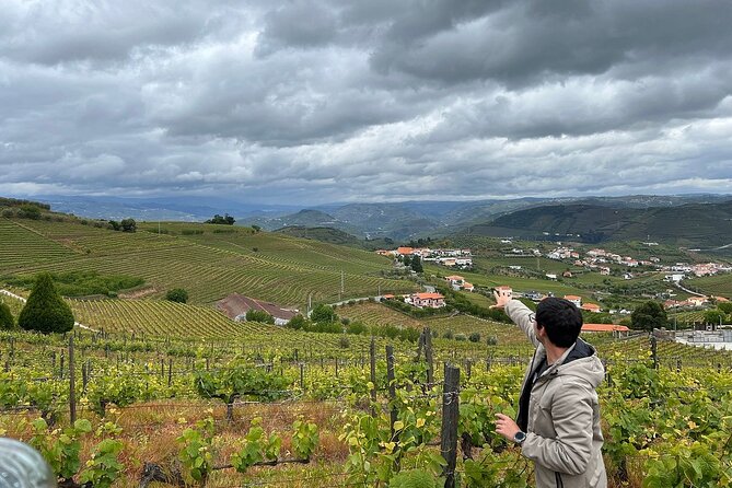 Douro Valley for Wine Lovers with Visit to 4 Wineries and Lunch - Who should book this Douro wine tour?