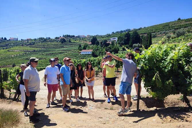 Douro Valley for Wine Lovers with Visit to 4 Wineries and Lunch - The drive from Porto into wine country