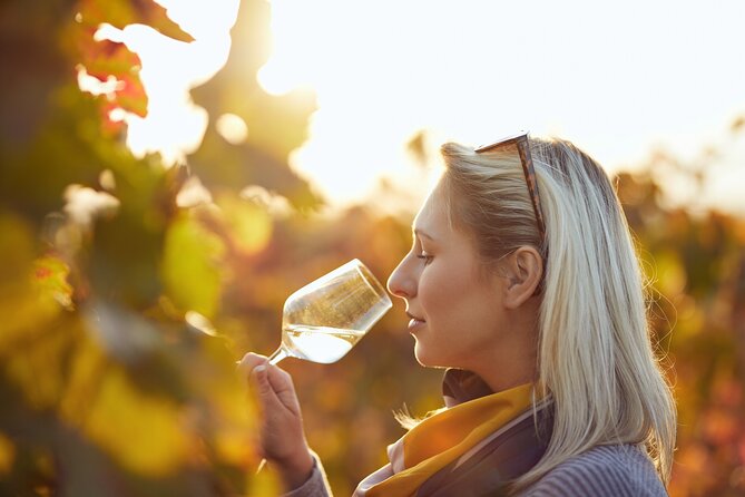 Douro Valley: Historical Sites, Wine Experience, Lunch & Cruise - Is $107.63 good value?