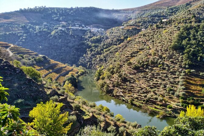 Douro Valley Prime Tour: Wine Tastings, Boat & Lunch from Porto - Quinta do Panascal and the making of Port