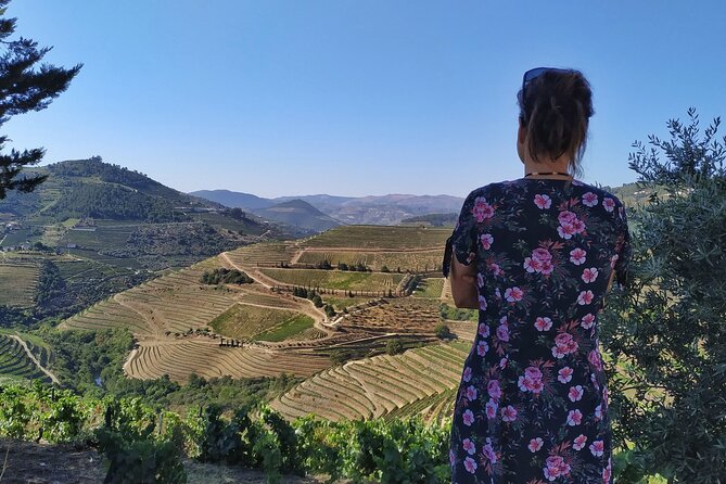 Douro Valley Prime Tour: Wine Tastings, Boat & Lunch from Porto - A one-hour cruise on the Douro