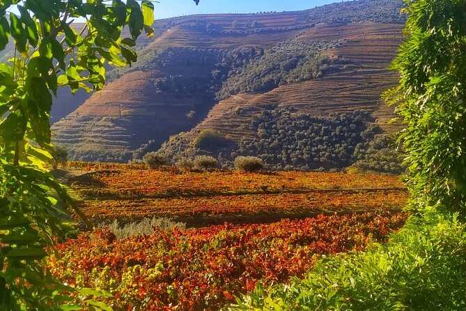 Douro Valley Prime Tour: Wine Tastings, Boat & Lunch from Porto - Crossing the Peso da Régua footbridge