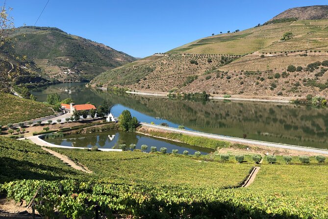 Douro Valley private wine tour | tastings and lunch included - Pinhão station adds culture beyond the wineries