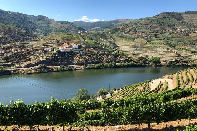Douro Valley private wine tour | tastings and lunch included - Three quintas, three different wine lessons