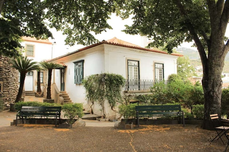 Douro Valley: Real Small-Group, Wine Tasting, Lunch & Boat - Practical tips for getting the most from the day