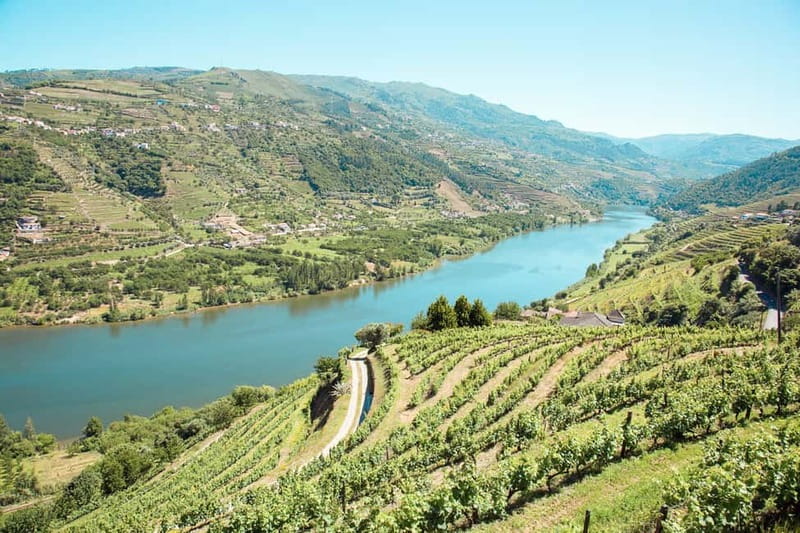 Douro Valley: Real Small-Group, Wine Tasting, Lunch & Boat - Why this Douro Valley day works so well