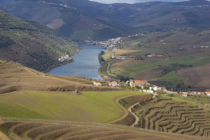 Douro Valley Tour: 2 Vineyard Visits, River Cruise, Winery Lunch - Key points to know before booking