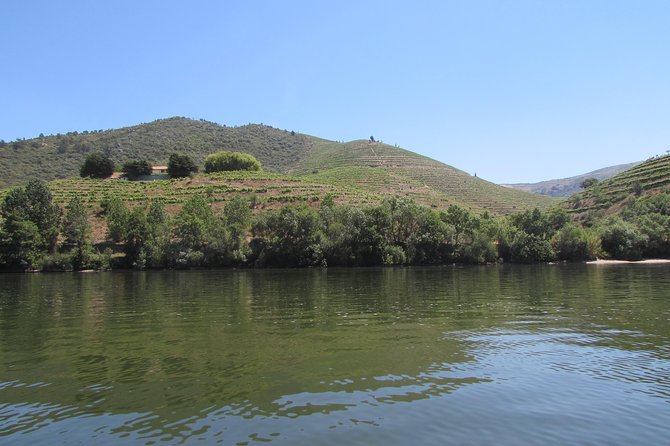Douro Valley Tour: 2 Vineyard Visits, River Cruise, Winery Lunch - The first winery near Lamego