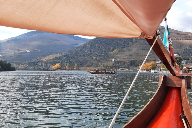 Douro Valley Tour - 3 Wine tastings, Lunch & river Cruise - Secret viewpoints and the value of the minivan