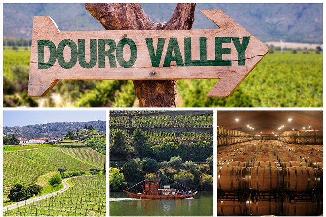 Douro Valley Tour: Wine Tasting, Cruise and Lunch from Porto - Key things to know before booking
